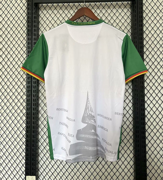 Maillot Cameroun Spécial 25/26
