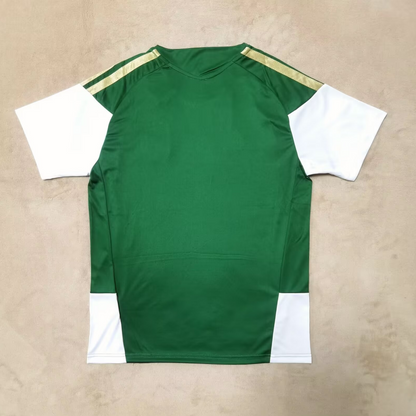 Maillot 25/26  Italie Spécial green